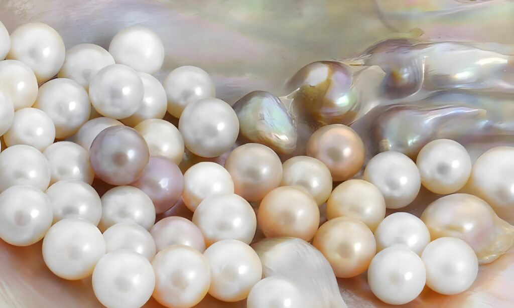 18 cultured freshwater pearl